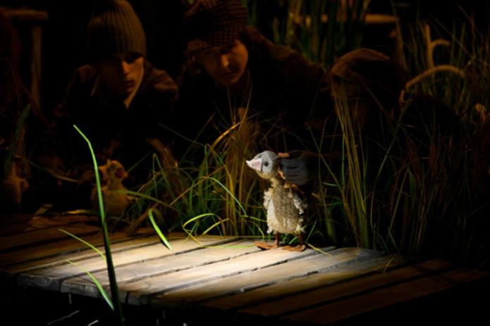 Гадкий утенок