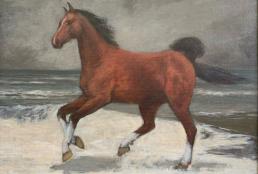 Кони привередливые