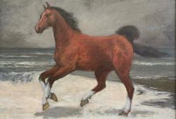 Кони привередливые